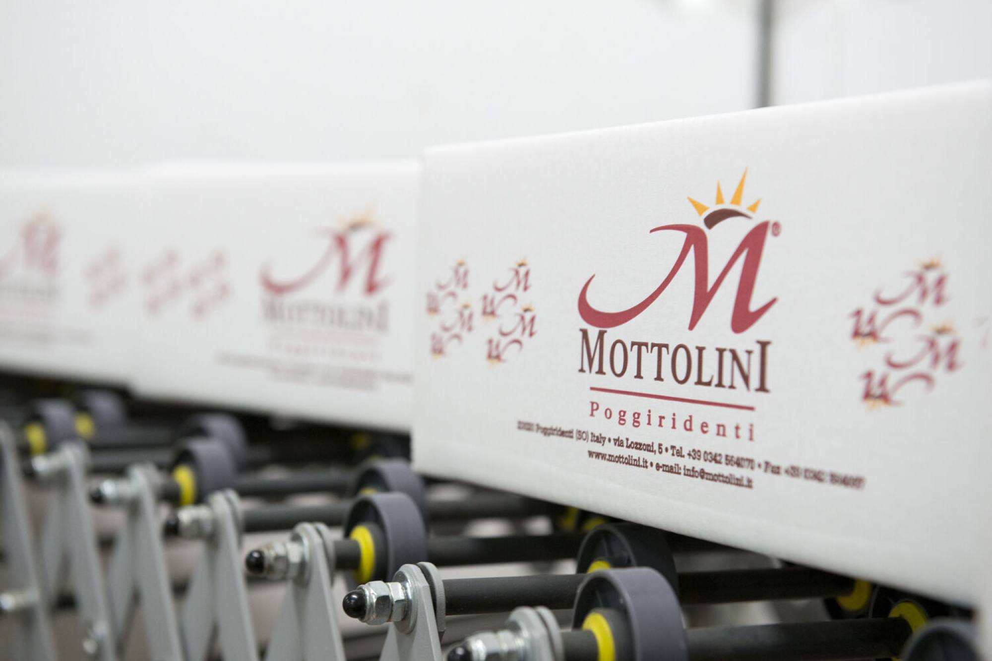 Sostenibilità e reporting aziendale: riparte il percorso di formazione IVSI per Mottolini